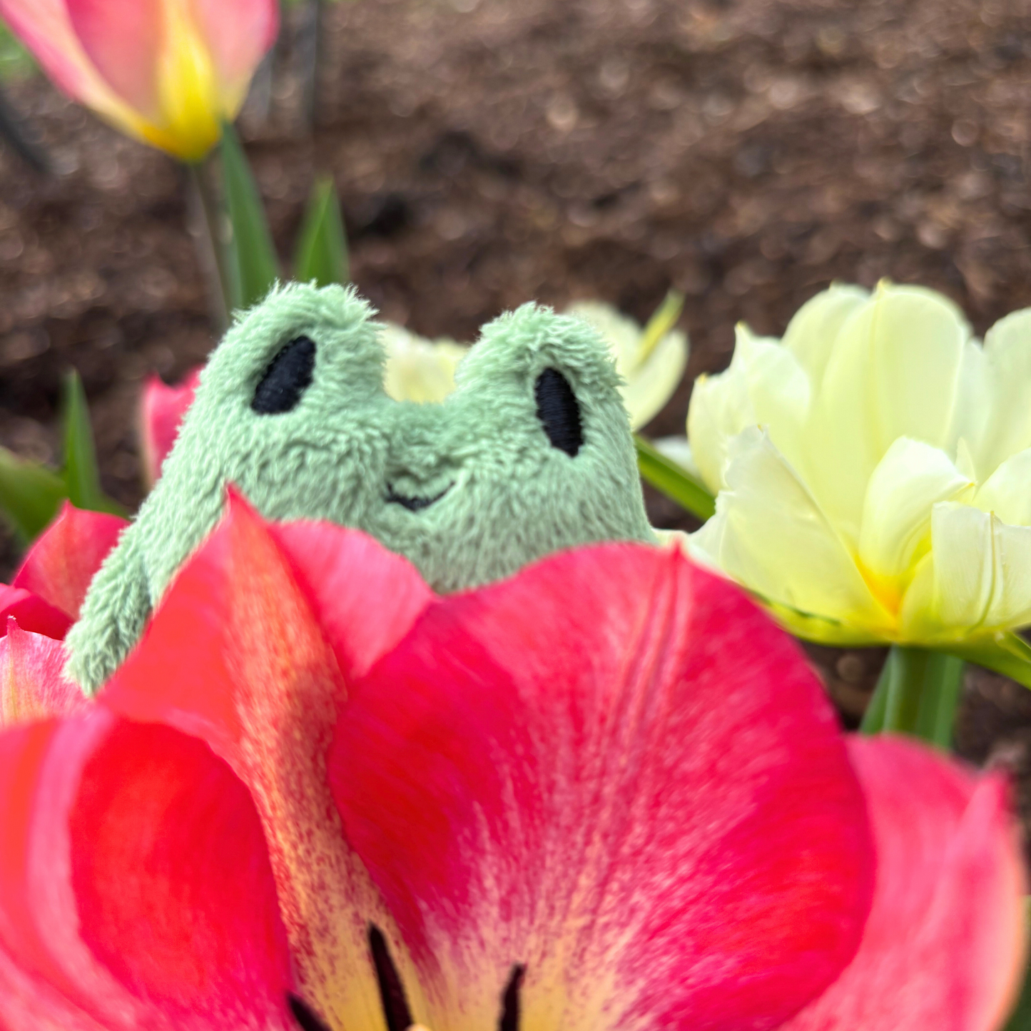 Freg Plush Keychain