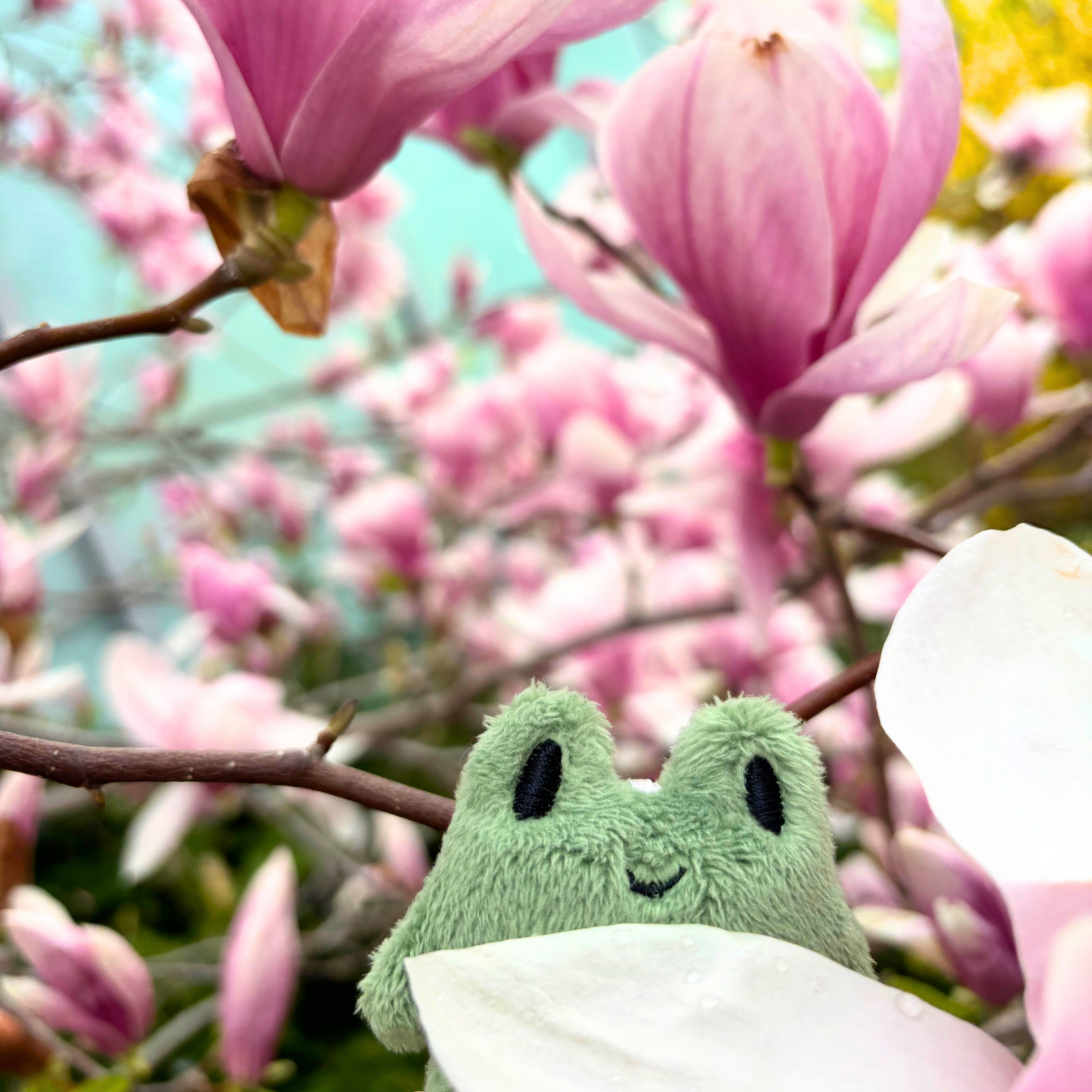 Freg Plush Keychain