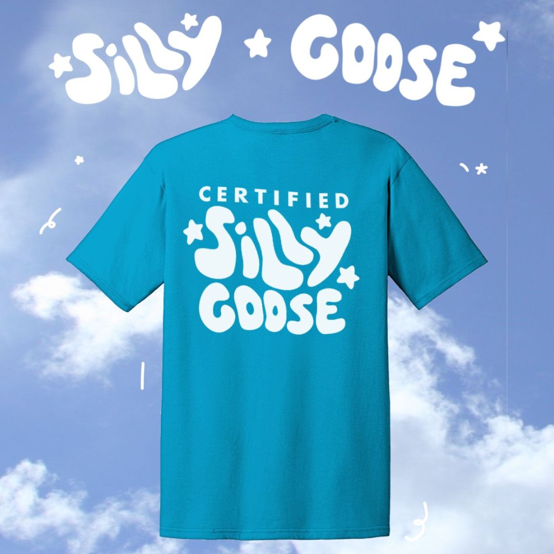 Blue sky background with clouds and "Silly Goose" written on top in white with stars. There's a floating blue shirt with "Certified Silly Goose" written on the back.