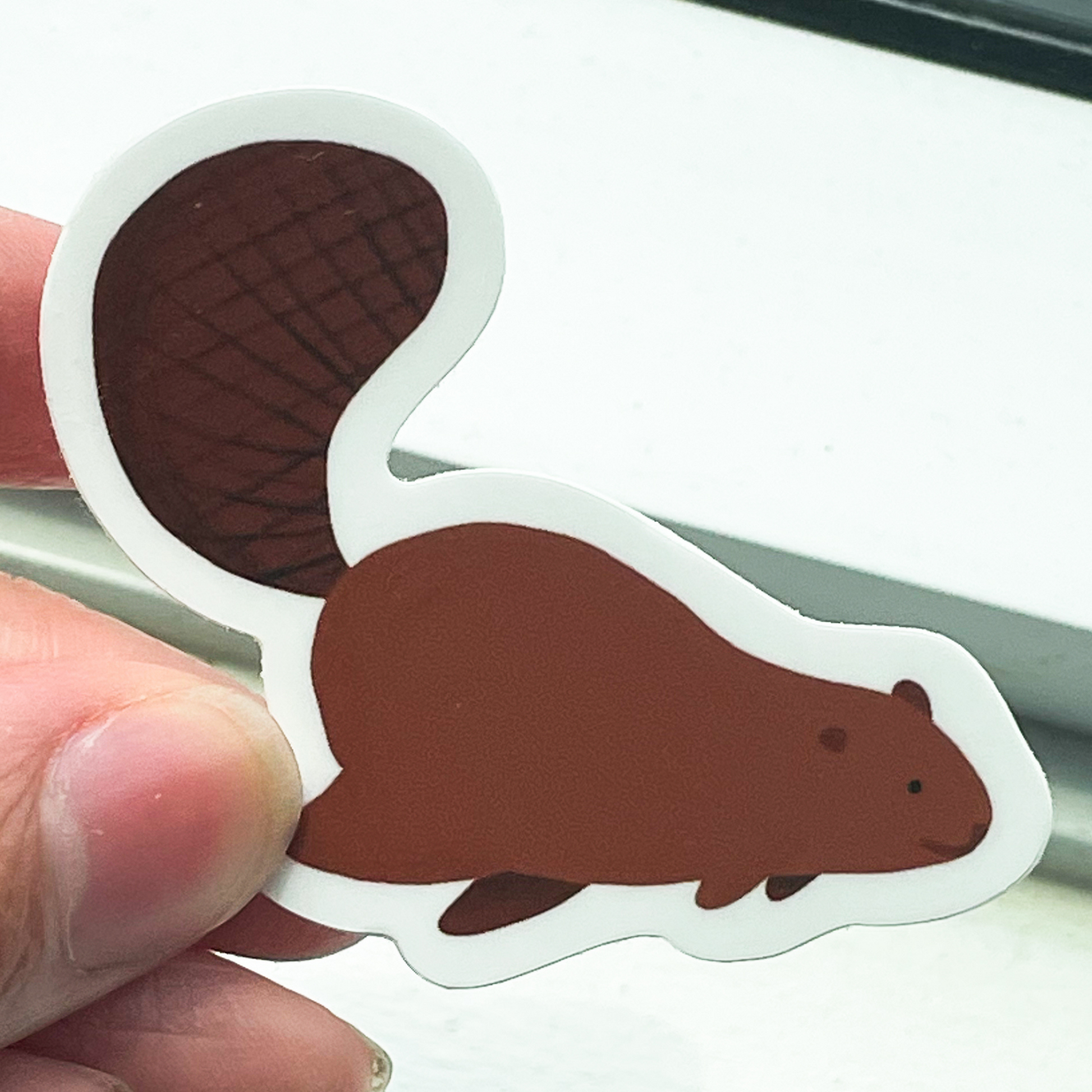 A white window sill background. In the front a hand is holding a smiling brown beaver sticker.